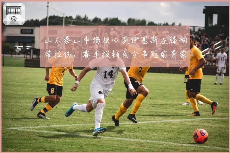 山东泰山中场核心莫伊塞斯左膝韧带拉伤,赛季报销或令争冠前景蒙阴影